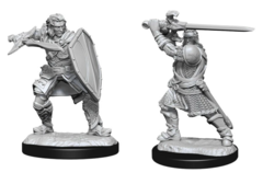 Human Paladin - Male 90220 - D&D Nolzur's Marvelous Miniatures